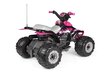 Vienvietīgs bērnu elektriskais kvadracikls Peg Perego Corral T-Rex 330W Pink 12V, rozā cena un informācija | Bērnu elektroauto | 220.lv