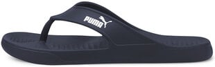 Puma iešļūcenes Agua Flip Peacoat Blue cena un informācija | Vīriešu iešļūcenes, čības, sandales | 220.lv