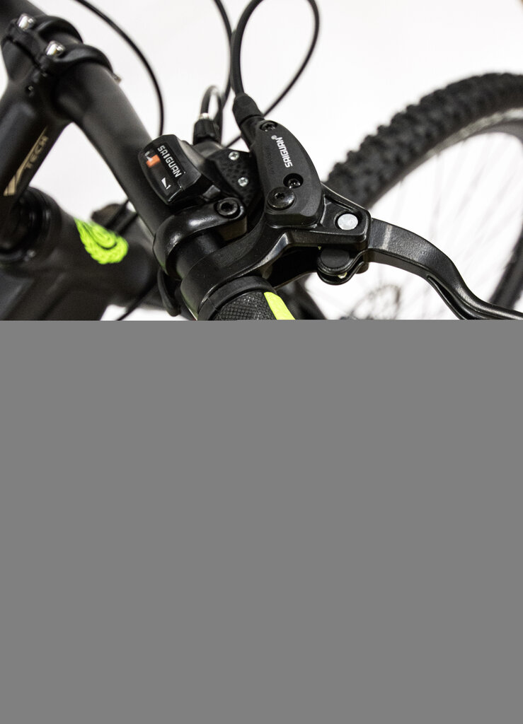 BICYCLE 29" MTB BLACK/GREEN/8001446121207 COPPI цена и информация | Velosipēdi | 220.lv