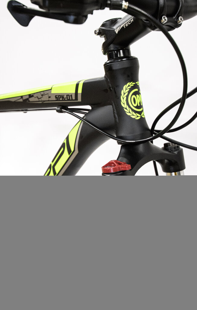 BICYCLE 29" MTB BLACK/GREEN/8001446121207 COPPI цена и информация | Velosipēdi | 220.lv