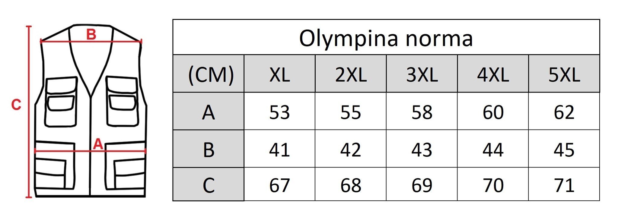 Vīriešu veste Olympina 2302-GM, pelēka цена и информация | Vīriešu vestes | 220.lv