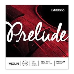 Струны для скрипки J810 1/8 D'Addario Prelude цена и информация | Принадлежности для музыкальных инструментов | 220.lv