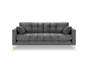 Dīvāns Micadoni Home Mamaia 2S, pelēks/zelta krāsas cena un informācija | Dīvāni | 220.lv