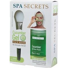 Маска для лица + кисточка Spa Secrets Cucumber Gel, 140 мл цена и информация | Маски для лица, патчи для глаз | 220.lv