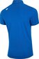 Polo krekls vīriešiem 4F, zils цена и информация | Vīriešu T-krekli | 220.lv