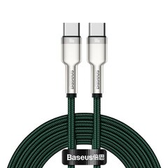 Кабель Baseus Cafule Series Type-C в  К Type-C 100W 2м, зеленый цена и информация | Кабели для телефонов | 220.lv