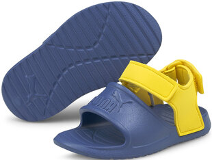 Puma Apavi Divecat V2 Injex Yellow Blue cena un informācija | Bērnu sandales | 220.lv