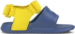 Puma Обувь Divecat V2 Injex Yellow Blue цена и информация | Детские сандалии | 220.lv