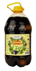 „Līgo kvasa dzēriens” 5,0L cena un informācija | Atsvaidzinoši dzērieni | 220.lv