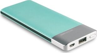 Realpower PB-5500, 5500 mAh цена и информация | Зарядные устройства Power bank | 220.lv