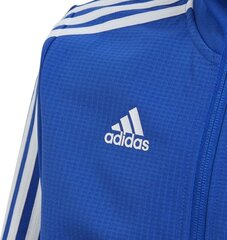 Блуза adidas M ALL SZN W HDY PRLOIN цена и информация | Футбольная форма и другие товары | 220.lv