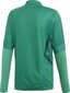 T-krekls vīriešiem Adidas, zaļš cena un informācija | Futbola formas un citas preces | 220.lv
