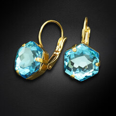 Серьги "Фантазия (Aquamarine)" с кристаллами Swarovski™ цена и информация | Серьги | 220.lv