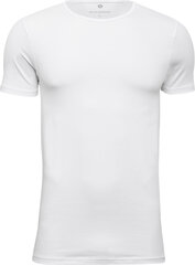 Vīriešu T krekls no organiskās kokvilnas JBS of Denmark T-SHIRT O-NECK цена и информация | Мужские футболки | 220.lv