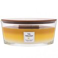 WoodWick aromātiska svece Trilogy Elipsa Fruits of Summer, 453,6 g