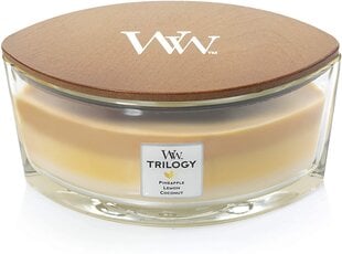 WoodWick ароматическая свеча Trilogy Elipsa Fruits of Summer, 453,6 г цена и информация | Подсвечники, свечи | 220.lv