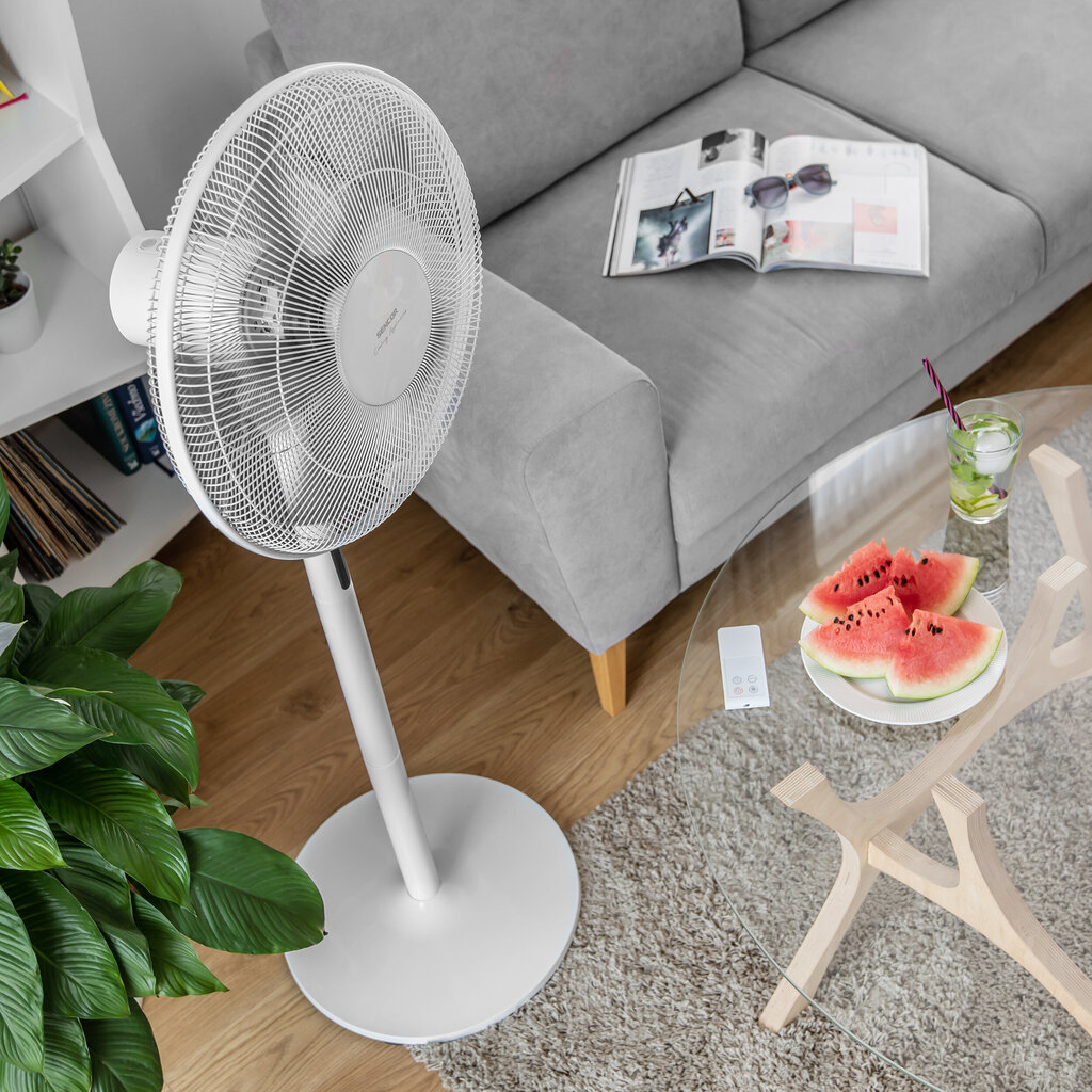 Ventilators Sencor SFN 4070WH 3in1 цена и информация | Ventilatori | 220.lv