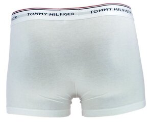 Tommy Hilfiger мужские трусы, 3 шт. цена и информация | Мужские трусы Nek, черные | 220.lv