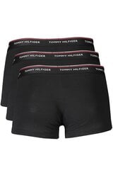 Мужские трусы Tommy Hilfiger, 3 шт. цена и информация | Men's pants l | 220.lv