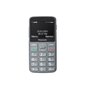 Panasonic KX-TU160EXG Gray цена и информация | Mobilie telefoni | 220.lv