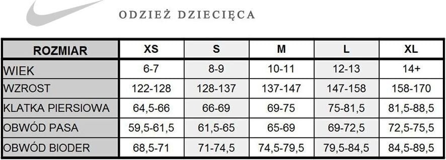 Džemperis zēniem Nike cena un informācija | Zēnu jakas, džemperi, žaketes, vestes | 220.lv