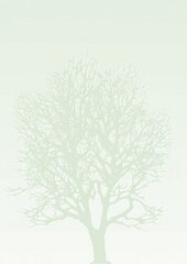 Dizaina papīrs koks, A4, 100g (50) 0710-100 cena un informācija | Burtnīcas un papīra preces | 220.lv