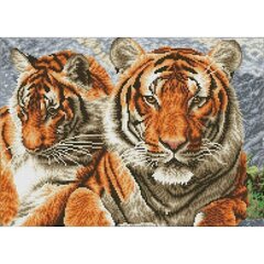Dimantu mozaīka Tigers, 37x51 cena un informācija | Dimantu mozaīkas | 220.lv