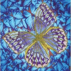 Dimantu mozaīka Flutter by Silver, 30x30 цена и информация | Алмазная мозаика | 220.lv