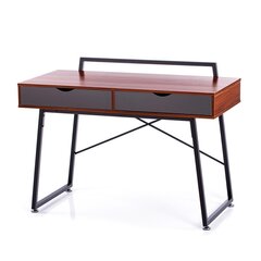 Письменный стол Homede Dust, коричневый/черный цена и информация | Компьютерные, письменные столы | 220.lv