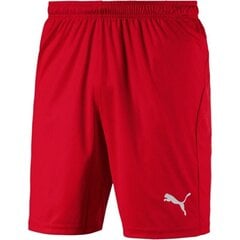 Спортивные шорты для мужчин Puma Liga Core M цена и информация | Мужская спортивная одежда | 220.lv