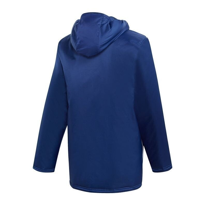 Ziemas sporta jaka Adidas Core 18 JR DW9198, zila cena un informācija | Ziemas apģērbs bērniem | 220.lv