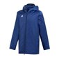 Ziemas sporta jaka Adidas Core 18 JR DW9198, zila cena un informācija | Ziemas apģērbs bērniem | 220.lv