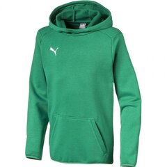 Джемпер для мальчиков Puma Liga Casuals Hoody JR 655636 05 цена и информация | Свитеры, жилетки, пиджаки для мальчиков | 220.lv