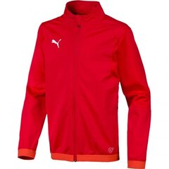 Džemperis zēniem Puma Liga Training Junior 655688 01 cena un informācija | Zēnu jakas, džemperi, žaketes, vestes | 220.lv