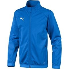 Джемпер для мальчиков Puma Liga Training Electric Junior 655688 02 цена и информация | Свитеры, жилетки, пиджаки для мальчиков | 220.lv