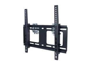 Ergofount BWM-55-44TR 32-55” цена и информация | Кронштейны и крепления для телевизоров | 220.lv