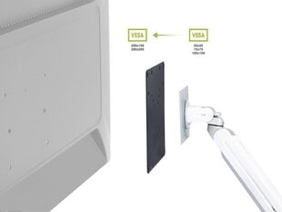 Ergofount BAS-11, 23"-42" cena un informācija | Ergofount Datortehnika | 220.lv