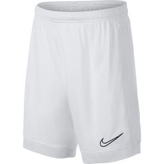 Спортивные шорты для детей Nike Dry Academy JR AO0771- 101 (46801) цена и информация | Шорты для мальчиков | 220.lv