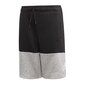 Sporta šorti Adidas SID Short JR ED6519, 49211 цена и информация | Zēnu šorti | 220.lv