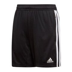 Шорты для мальчиков Adidas Tiro 19 Training Short JR D95946, черные цена и информация | Шорты для мальчиков | 220.lv