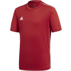 Спортивная рубашка для мальчиков adidas CORE 18 Junior CV3496 цена и информация | Рубашки для мальчиков | 220.lv