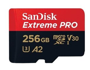 Atmiņas karte - SanDisk SDSQXCZ-256G-GN6MA cena un informācija | USB Atmiņas kartes | 220.lv