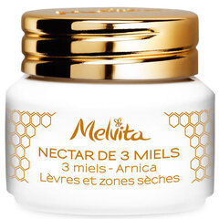 Lūpu balzams Melvita Nectar de 3 Miels Arnica 8 g cena un informācija | Lūpu krāsas, balzāmi, spīdumi, vazelīns | 220.lv