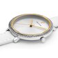 Sieviešu pulkstenis Pierre Lannier 011K620 cena un informācija | Sieviešu pulksteņi | 220.lv