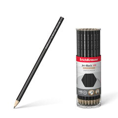 Melngrafīta sešskaldņu zīmulis ErichKrause® Jet Black 100 HB (tūbiņā 42 gab.) cena un informācija | Rakstāmpiederumi | 220.lv