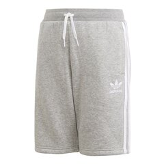 Шорты для мальчиков Adidas Originals Fleece Jr DV2891 Shorts, серые цена и информация | Шорты для мальчиков | 220.lv