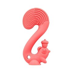 Graužamā rotaļlieta Mombella Squirrel, sarkana, 3 mēn+, P8059 cena un informācija | Zobu riņķi | 220.lv
