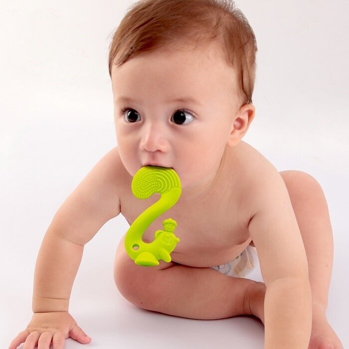 Graužamā rotaļlieta Mombella Squirrel, zaļa, 3 mēn+, P8061 цена и информация | Zobu riņķi | 220.lv