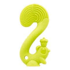 Graužamā rotaļlieta Mombella Squirrel, zaļa, 3 mēn+, P8061 cena un informācija | Zobu riņķi | 220.lv