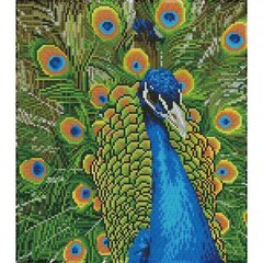 Алмазная мозаика Peacock, 37 x 50 цена и информация | Алмазная мозаика | 220.lv